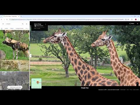 Reviewing 3 of the Best Zoos in the UK! 🦁🐯 Which One Wins?